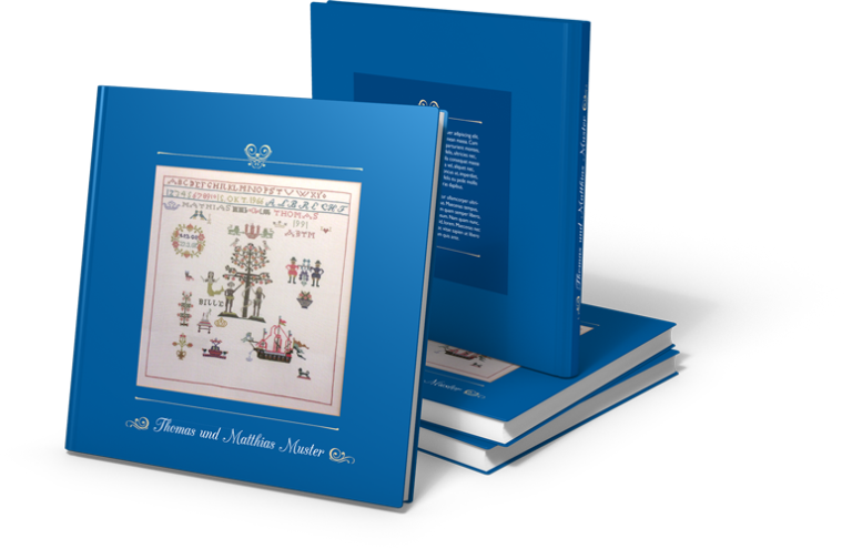 Buchcover-3D-S-306x304